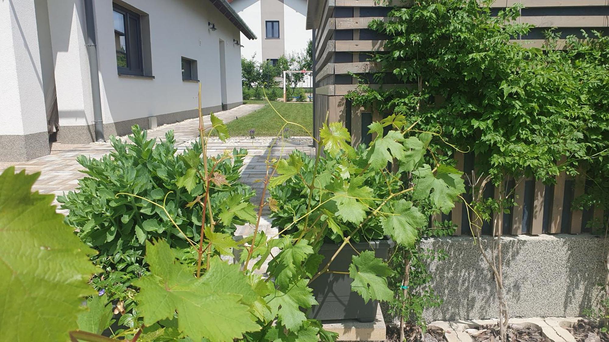 Relax Balaton Apartmanok Balatonfüred Zewnętrze zdjęcie